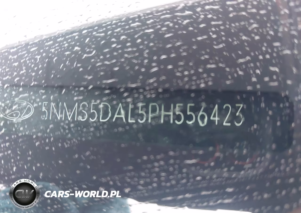 2023 Hyundai Santa Fe Calligraphy VIN:5NMS5DAL5PH556423 - 9