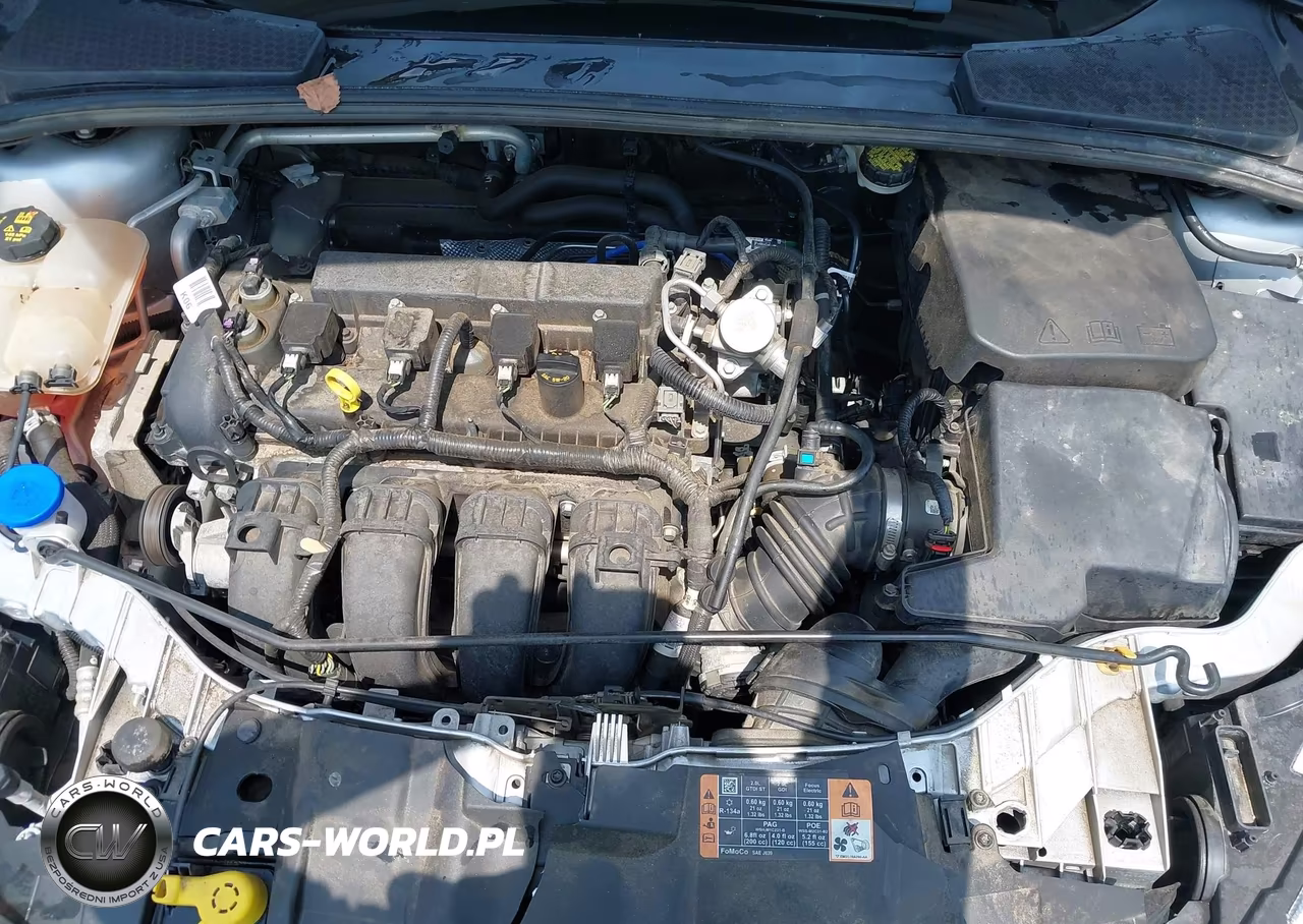 2016 Ford Focus Se VIN:1FADP3K24GL401983 - 10