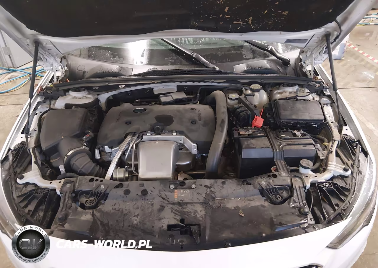 2018 Buick Regal Sportback Essence VIN:W04GP6SX5J1096558 - 10