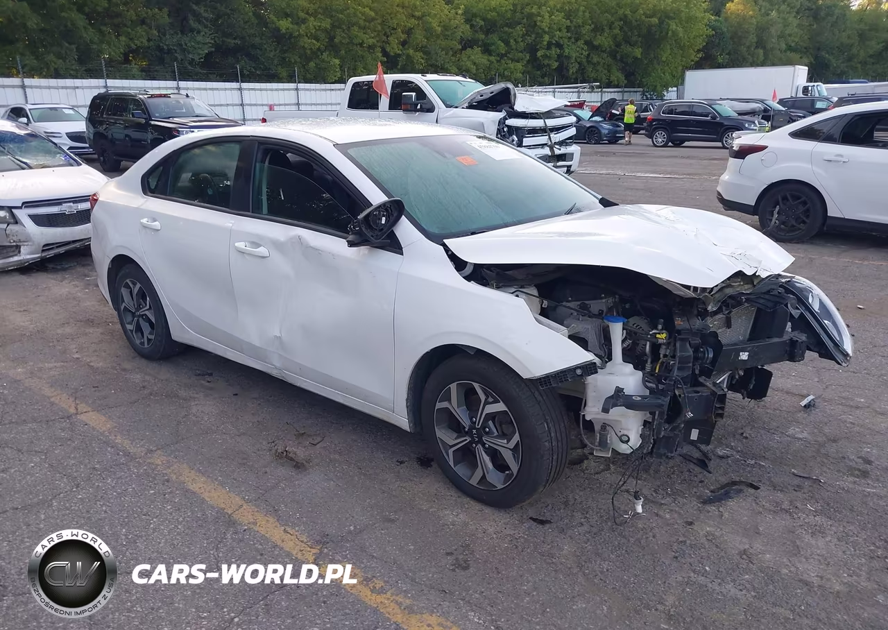2021 Kia Forte Lxs VIN:3KPF24AD7ME409090 - 1