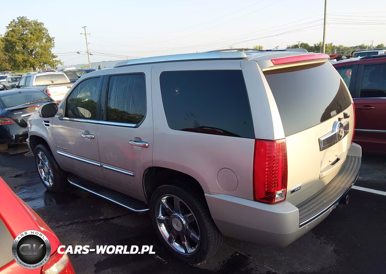 2009 Cadillac Escalade Standard VIN:1GYFK232X9R123272 - 14