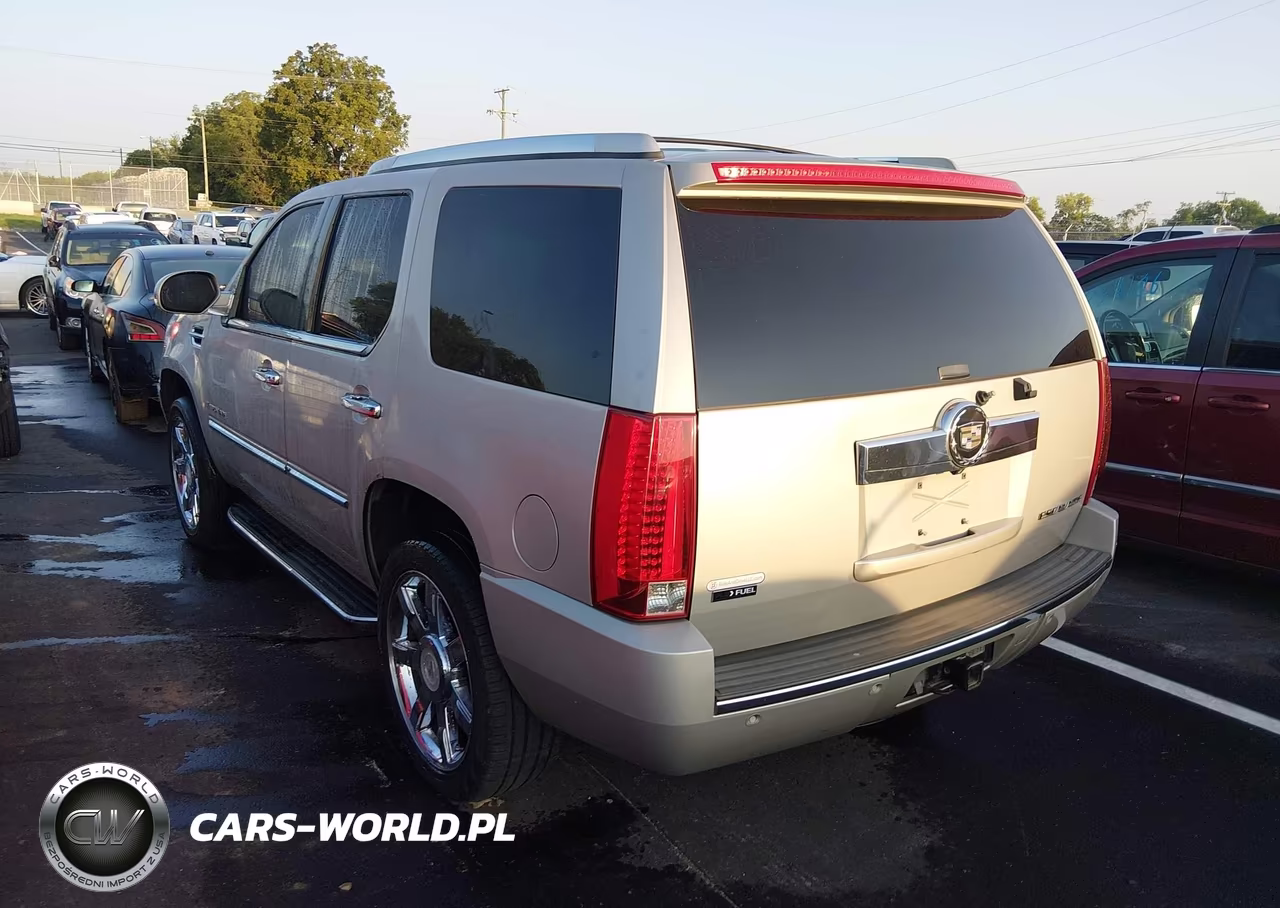 2009 Cadillac Escalade Standard VIN:1GYFK232X9R123272 - 3