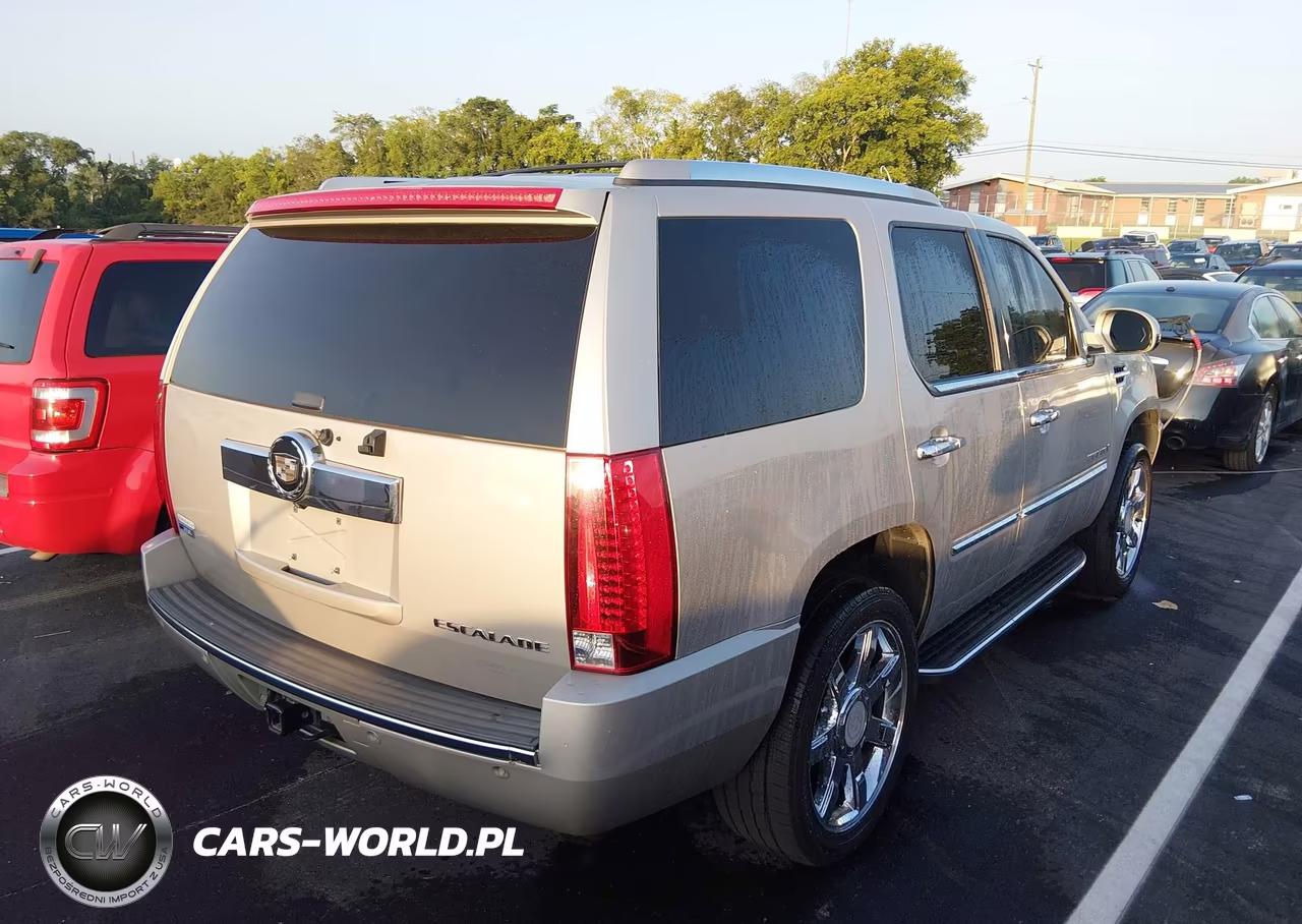 2009 Cadillac Escalade Standard VIN:1GYFK232X9R123272 - 4