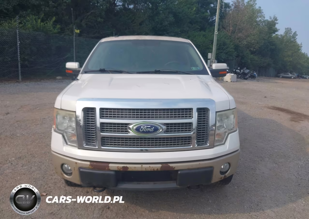 2010 Ford F-150 Fx4-Harley-Davidson-King Ranch-Lariat-Platinum-Xl-Xlt VIN:1FTFW1EVXAFC02717 - 12