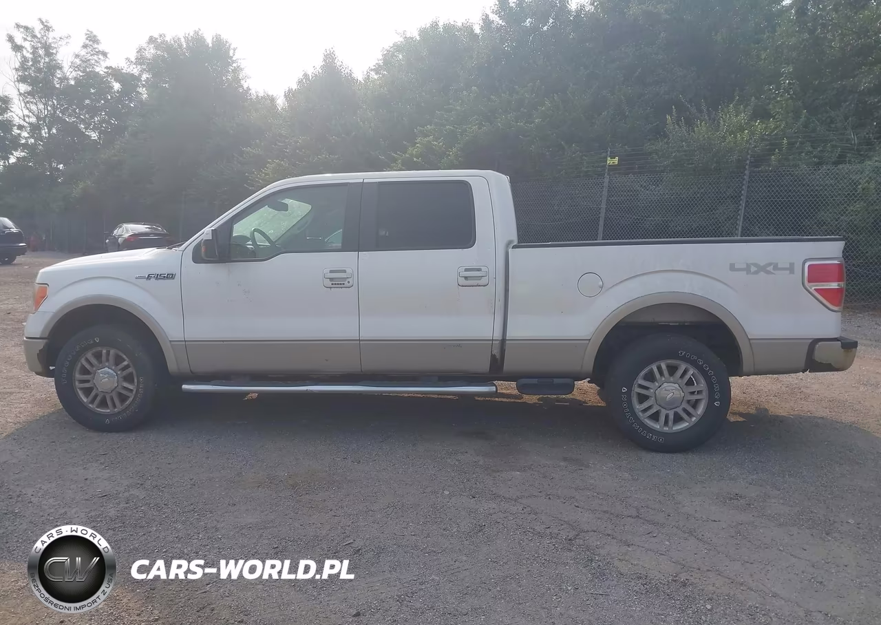 2010 Ford F-150 Fx4-Harley-Davidson-King Ranch-Lariat-Platinum-Xl-Xlt VIN:1FTFW1EVXAFC02717 - 14