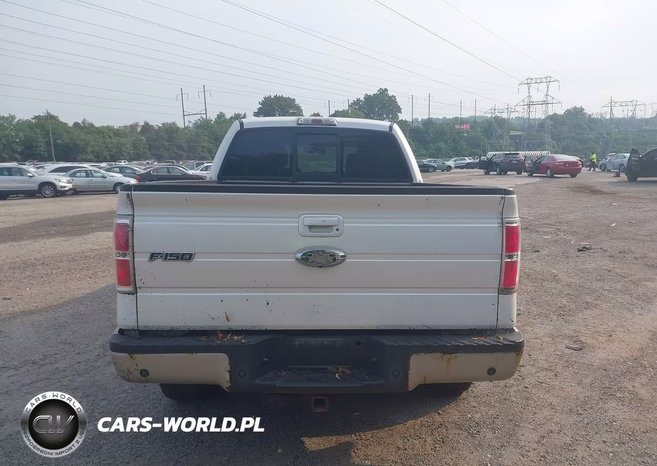 2010 Ford F-150 Fx4-Harley-Davidson-King Ranch-Lariat-Platinum-Xl-Xlt VIN:1FTFW1EVXAFC02717 - 16