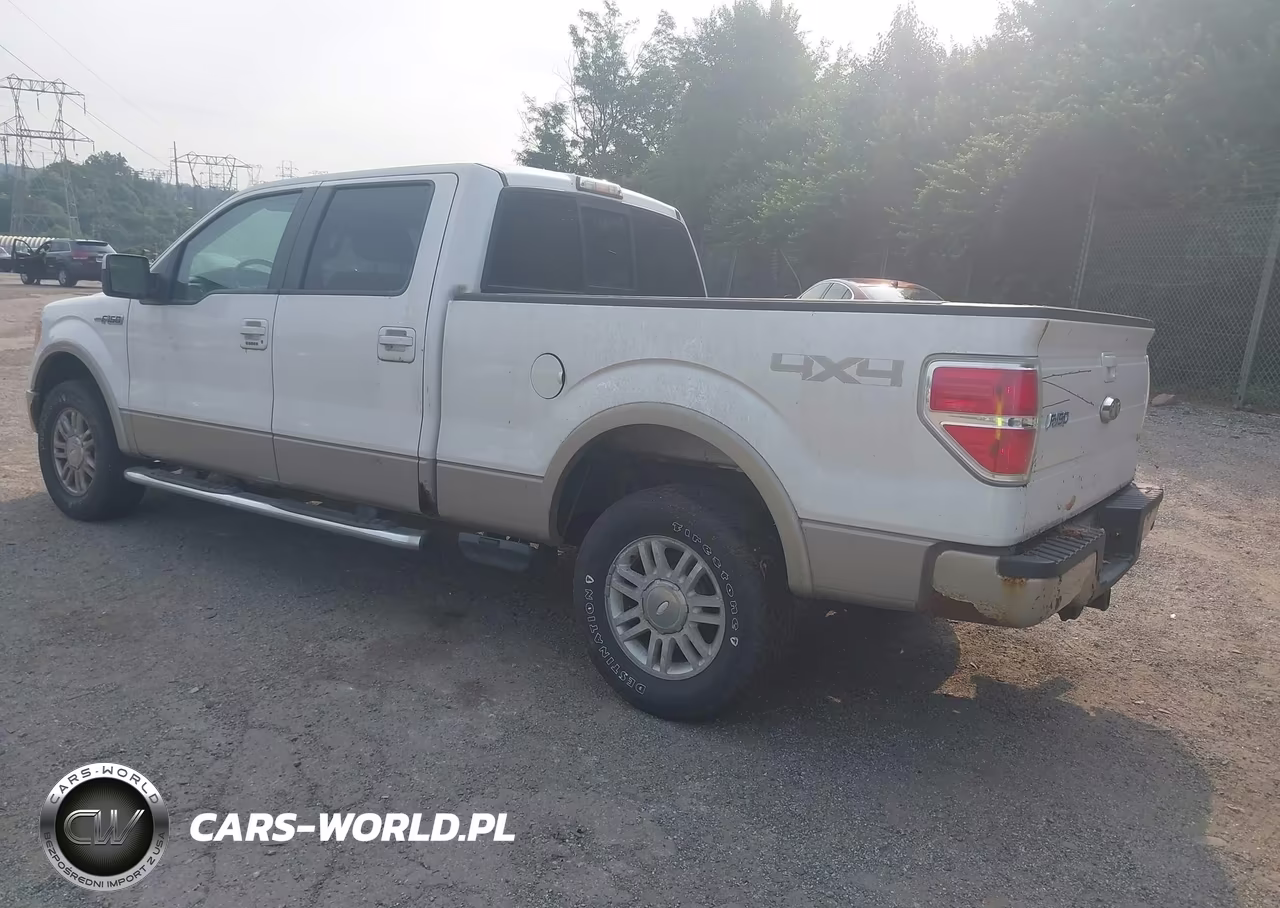 2010 Ford F-150 Fx4-Harley-Davidson-King Ranch-Lariat-Platinum-Xl-Xlt VIN:1FTFW1EVXAFC02717 - 3
