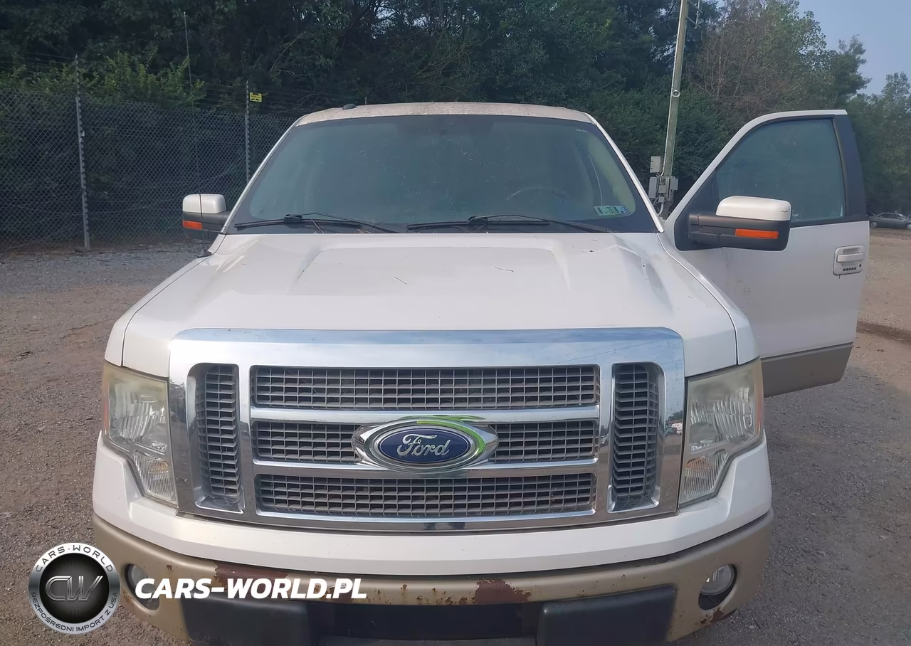 2010 Ford F-150 Fx4-Harley-Davidson-King Ranch-Lariat-Platinum-Xl-Xlt VIN:1FTFW1EVXAFC02717 - 6