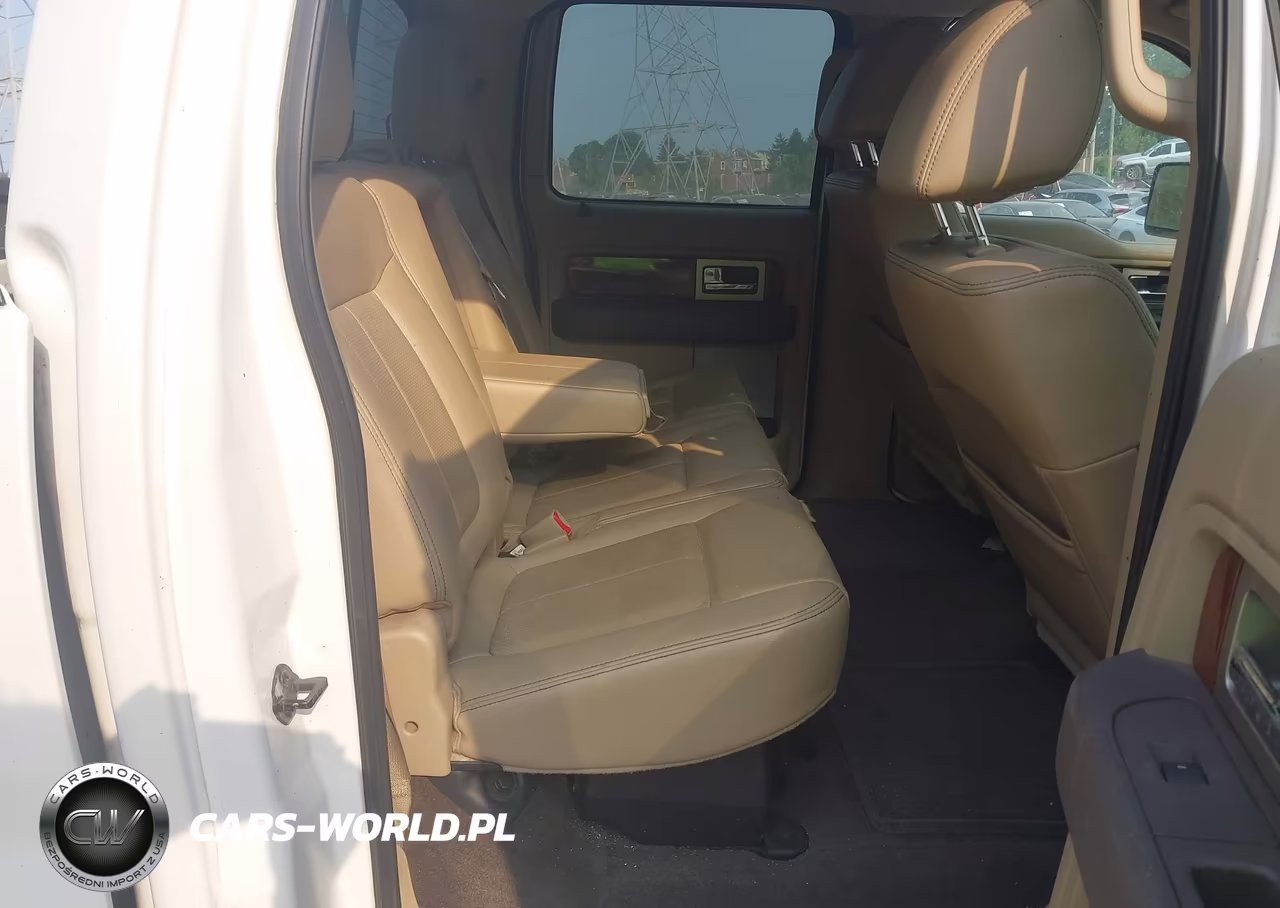 2010 Ford F-150 Fx4-Harley-Davidson-King Ranch-Lariat-Platinum-Xl-Xlt VIN:1FTFW1EVXAFC02717 - 8