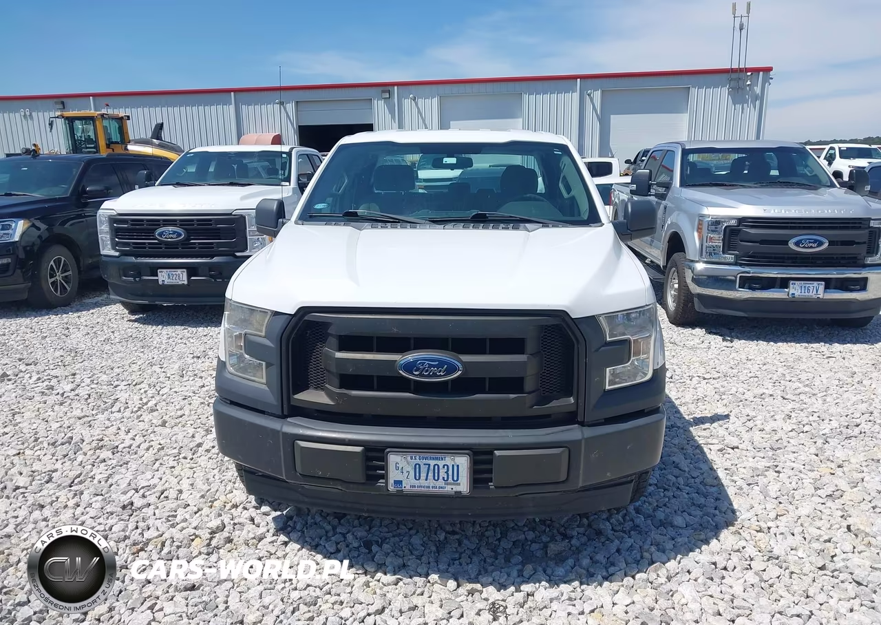 2017 Ford F-150 Xl VIN:1FTEX1C83HKD34838 - 12