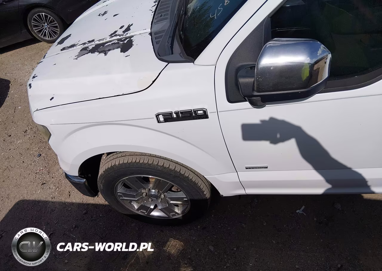 2015 Ford F-150 Xlt VIN:1FTEW1CP1FKD78893 - 14