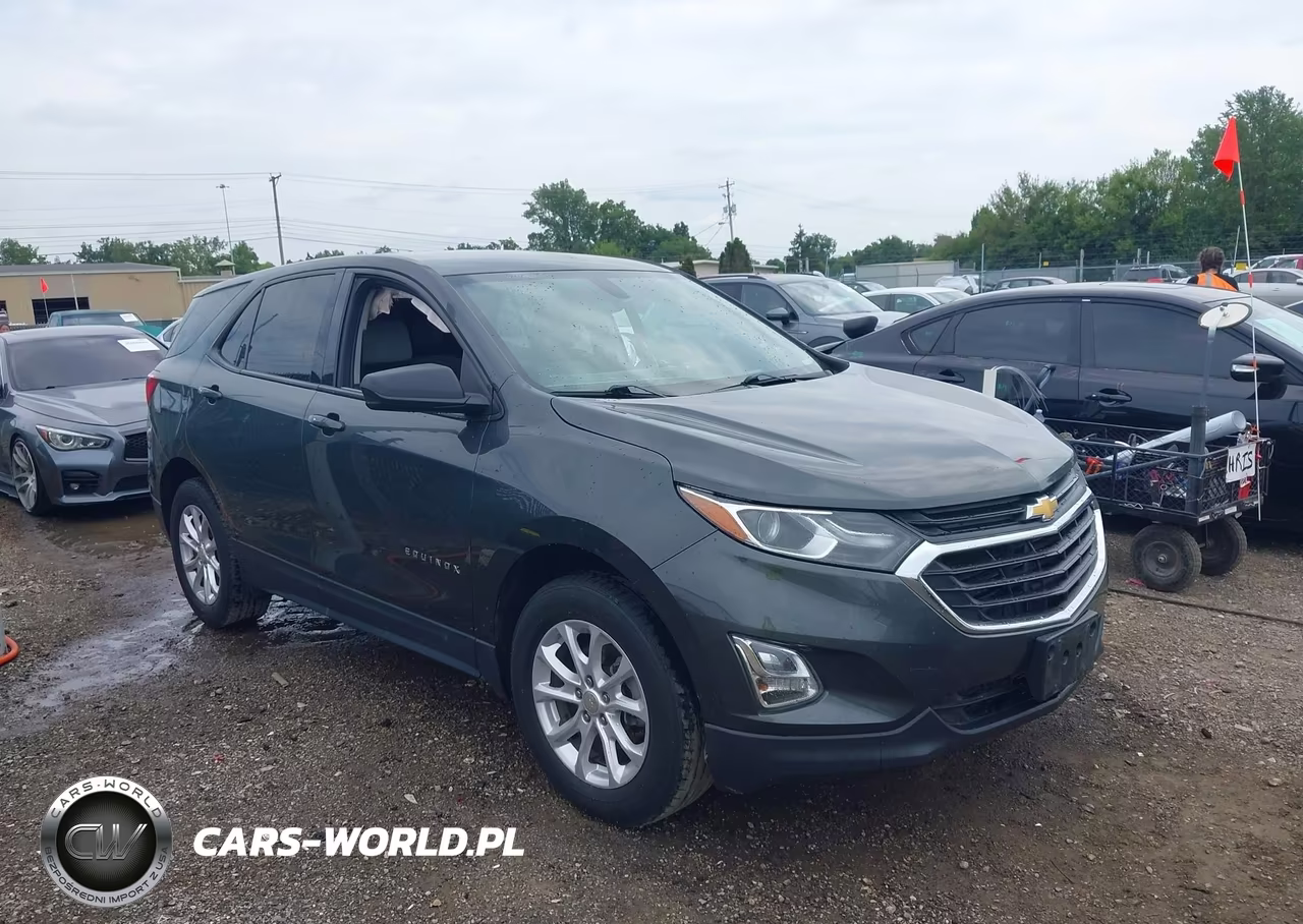 2019 Chevrolet Equinox Ls – zdjęcie 1 z 16