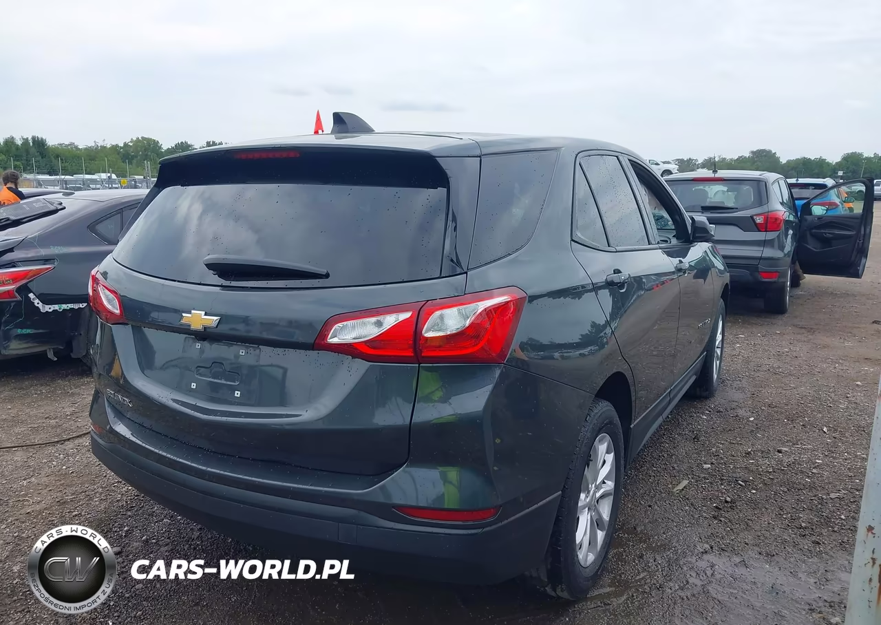 2019 Chevrolet Equinox Ls VIN:3GNAXHEV5KS637181 - 4