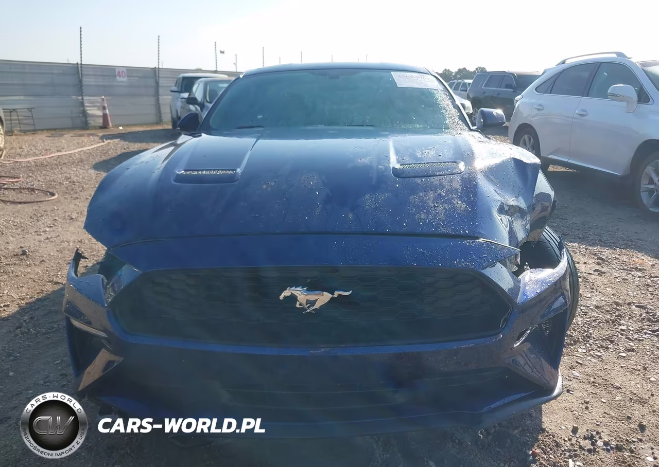 2018 Ford Mustang Ecoboost VIN:1FA6P8TH9J5163696 - 12
