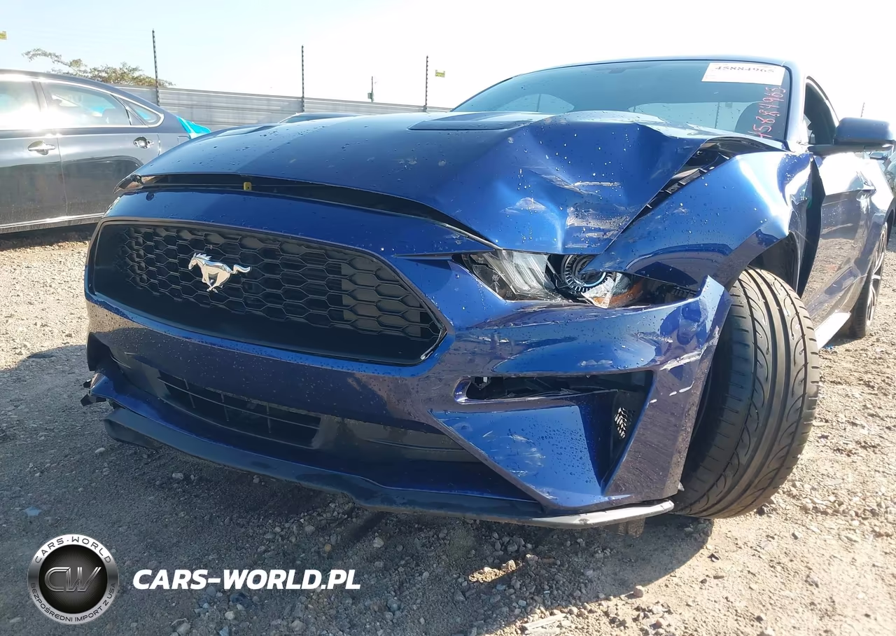 2018 Ford Mustang Ecoboost VIN:1FA6P8TH9J5163696 - 6