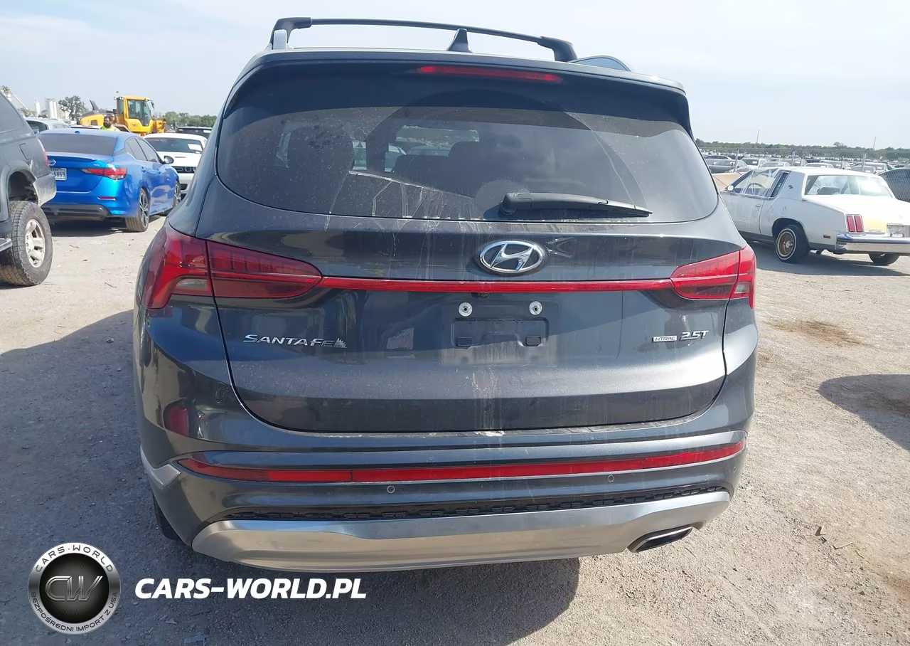2021 Hyundai Santa Fe Calligraphy VIN:5NMS5DAL2MH363996 - 16