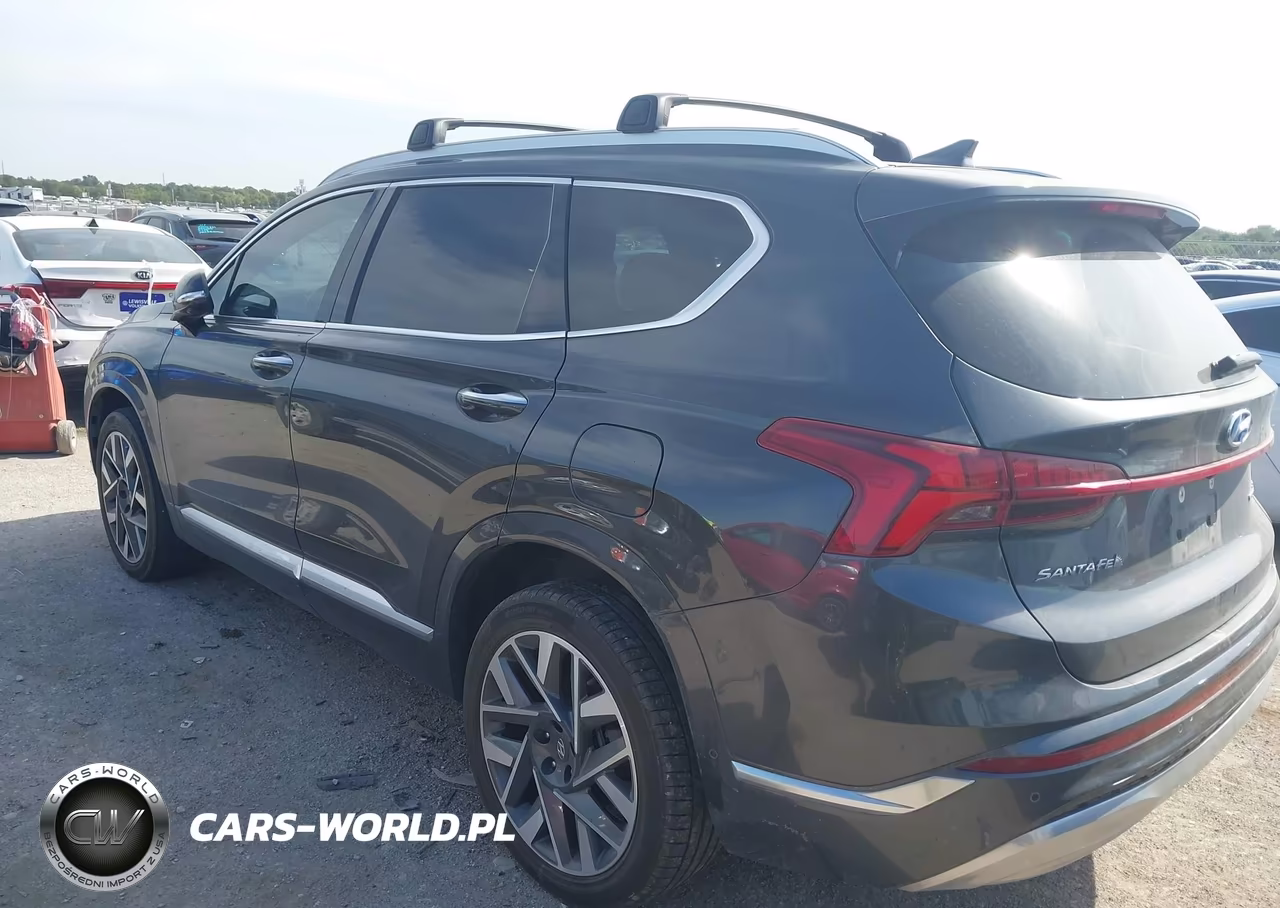 2021 Hyundai Santa Fe Calligraphy VIN:5NMS5DAL2MH363996 - 3