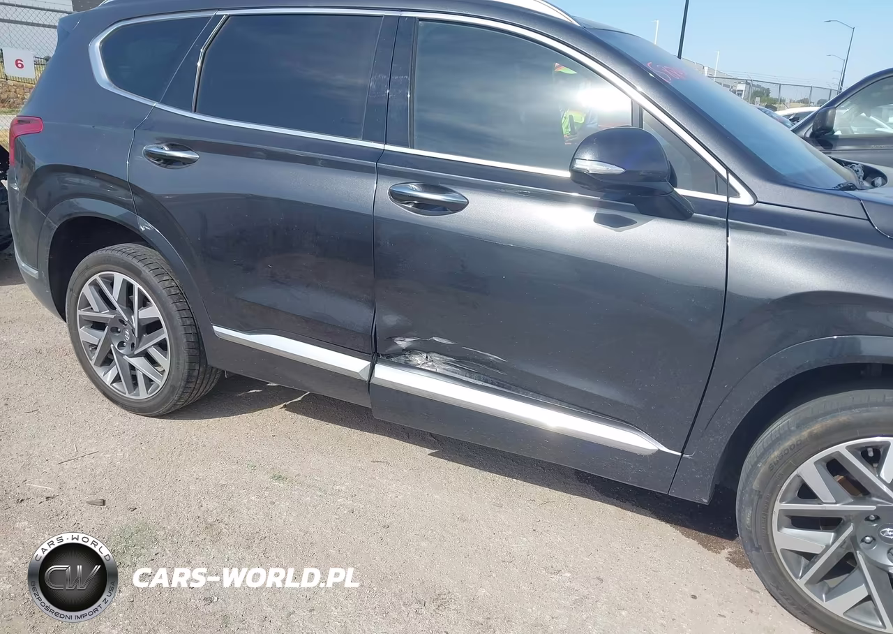 2021 Hyundai Santa Fe Calligraphy VIN:5NMS5DAL2MH363996 - 6