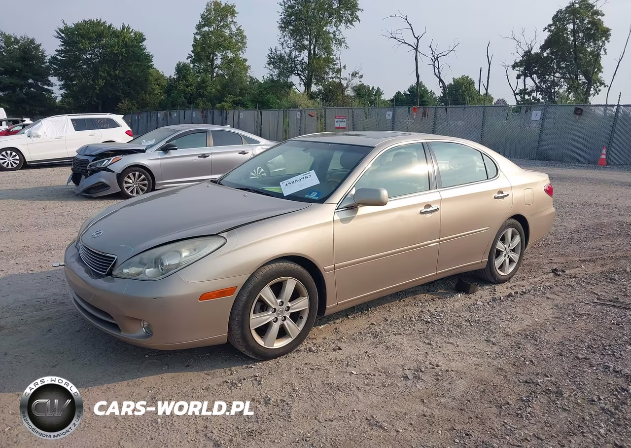 2005 Lexus Es 330 VIN:JTHBA30G955067905 - 2