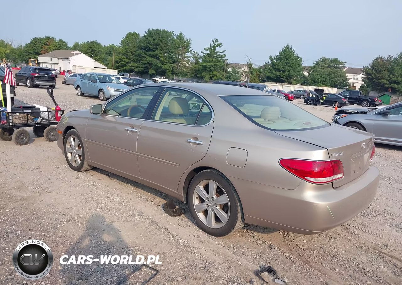 2005 Lexus Es 330 VIN:JTHBA30G955067905 - 3