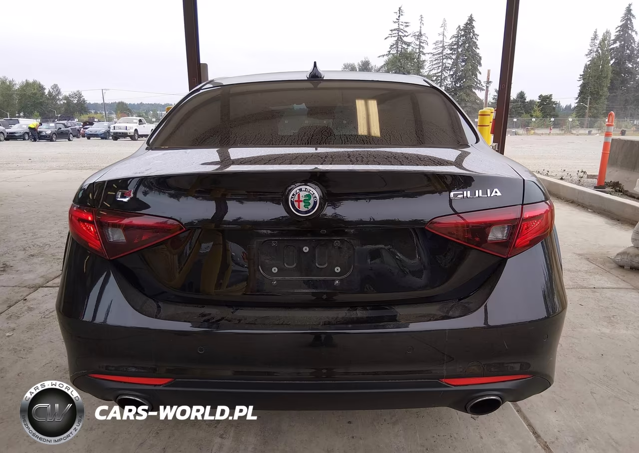 2017 Alfa Romeo Giulia Awd VIN:ZARFAEDNXH7540099 - 17