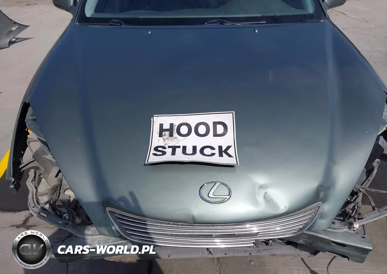2005 Lexus Es 330 VIN:JTHBA30GX55135919 - 10