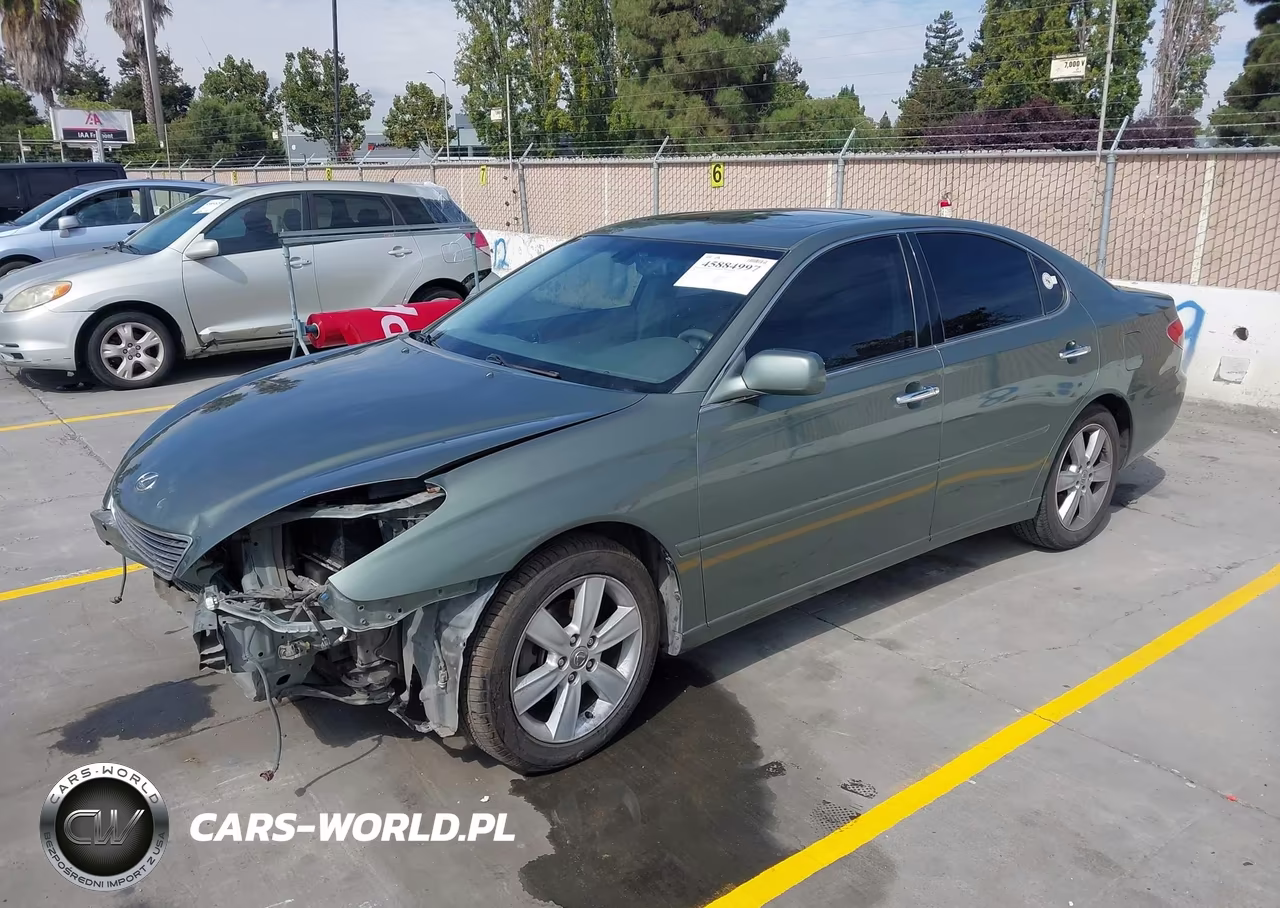 2005 Lexus Es 330 VIN:JTHBA30GX55135919 - 2