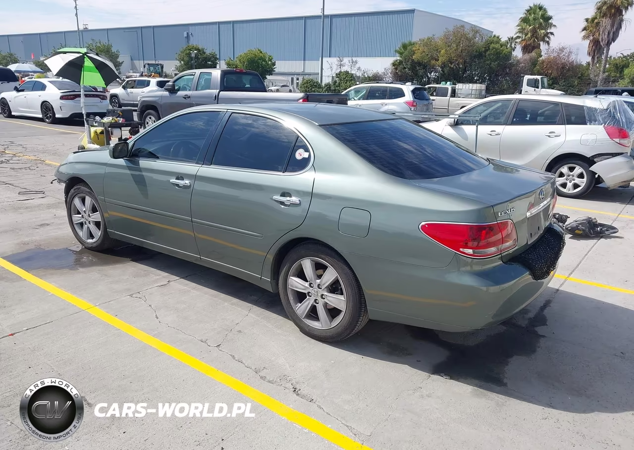2005 Lexus Es 330 VIN:JTHBA30GX55135919 - 3