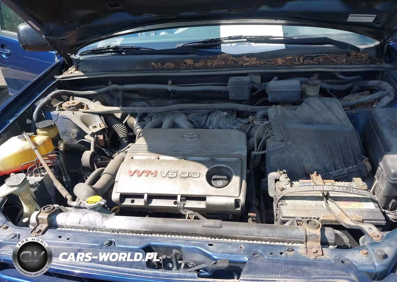 2004 Toyota Highlander V6 VIN:JTEDP21A740032865 - 10