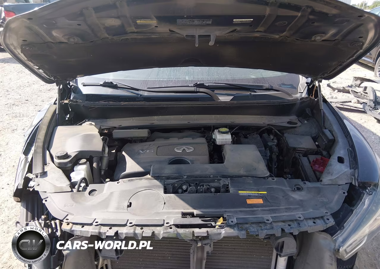 2019 Infiniti Qx60 Pure VIN:5N1DL0MN4KC533335 - 10