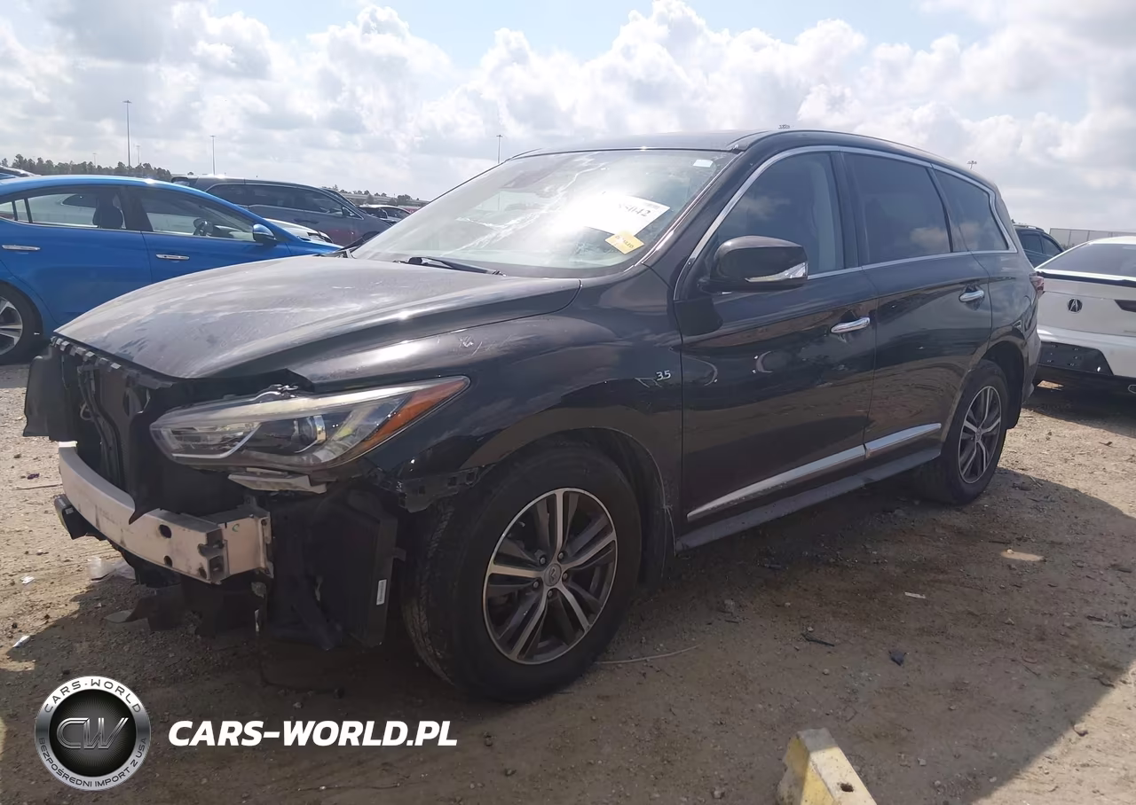 2019 Infiniti Qx60 Pure VIN:5N1DL0MN4KC533335 - 2