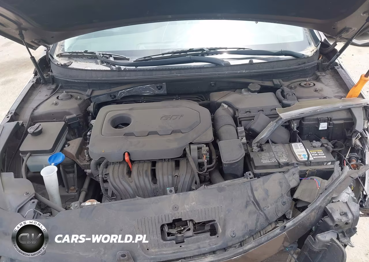 2015 Hyundai Sonata Sport VIN:5NPE34AF3FH120216 - 10