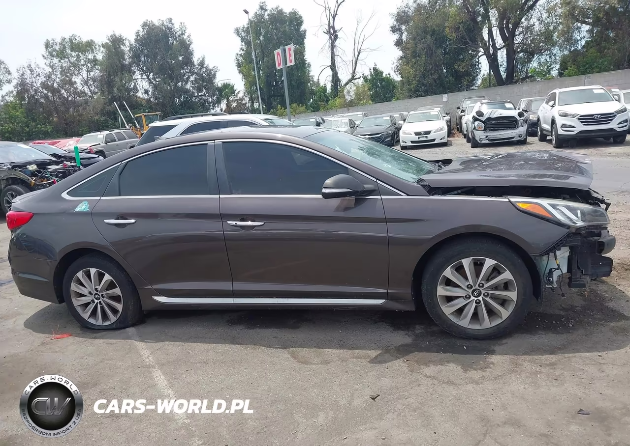 2015 Hyundai Sonata Sport VIN:5NPE34AF3FH120216 - 13