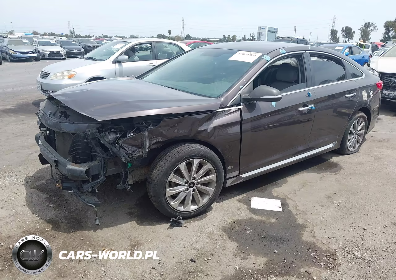 2015 Hyundai Sonata Sport VIN:5NPE34AF3FH120216 - 2