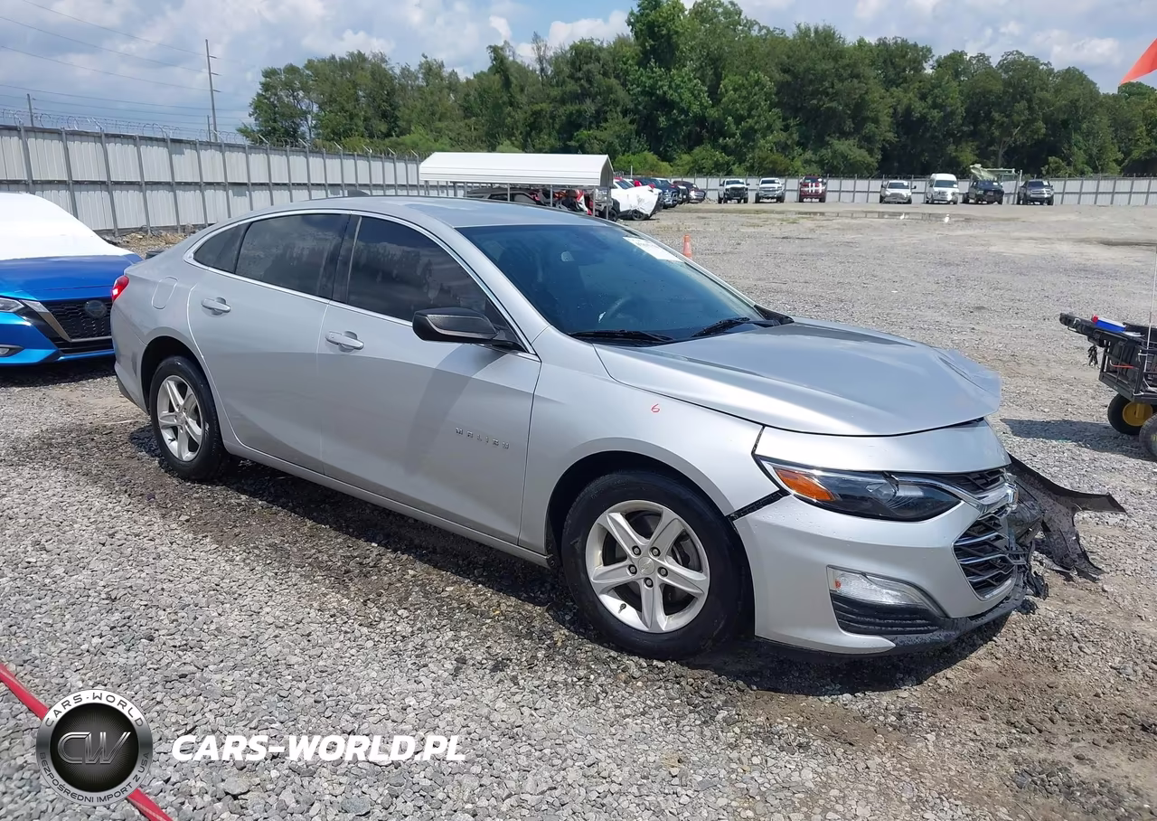 2019 Chevrolet Malibu 1Ls