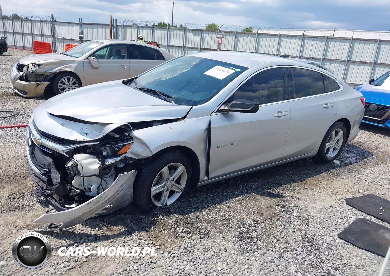 2019 Chevrolet Malibu 1Ls VIN:1G1ZB5ST7KF227961 - 2