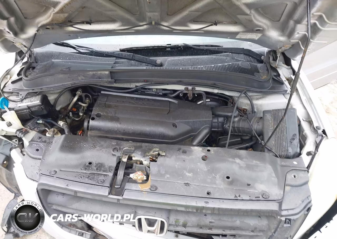 2004 Honda Pilot Ex-L VIN:2HKYF18504H581970 - 10