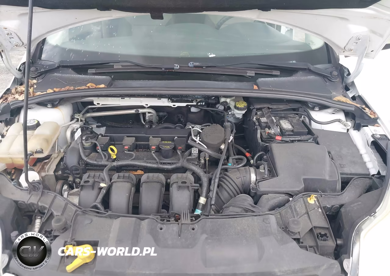 2013 Ford Focus Se VIN:1FADP3K2XDL111856 - 10