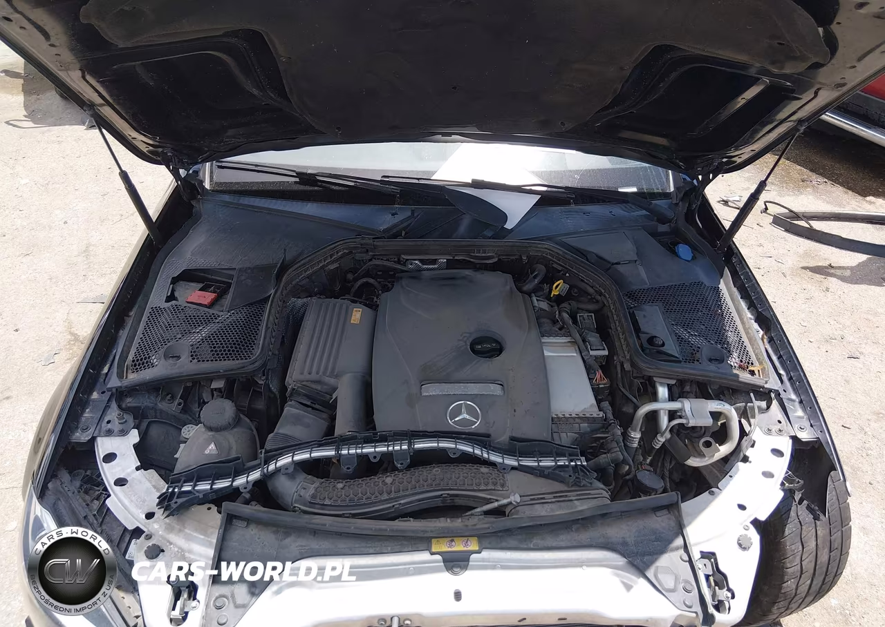 2017 Mercedes-Benz C 300 VIN:55SWF4JB4HU222956 - 10