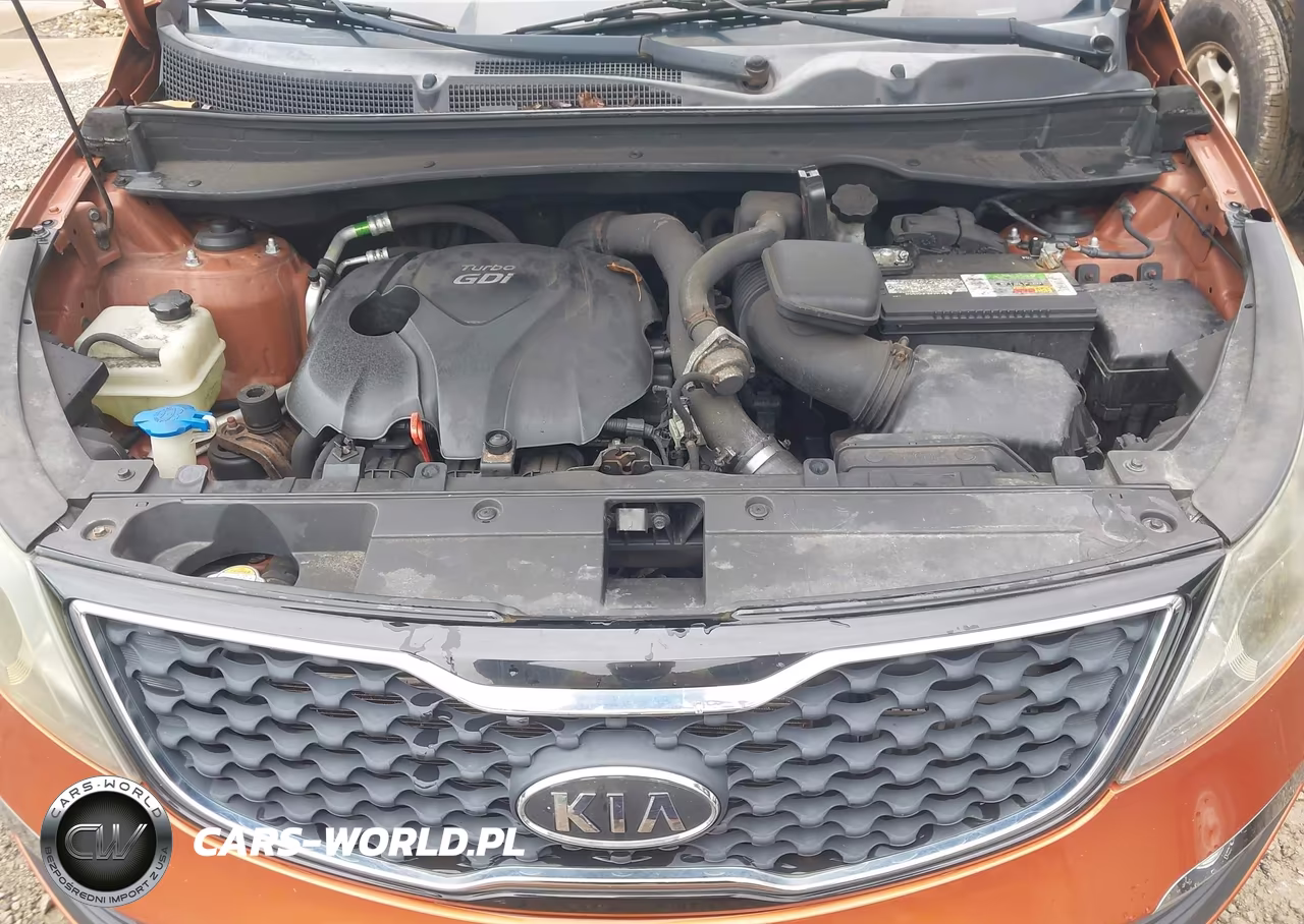 2011 Kia Sportage Sx VIN:KNDPC3A65B7119716 - 10