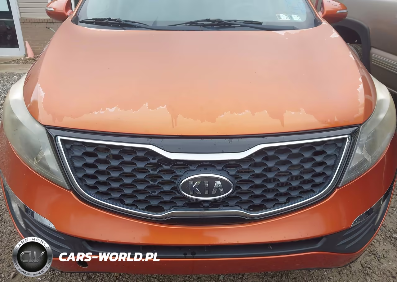 2011 Kia Sportage Sx VIN:KNDPC3A65B7119716 - 6