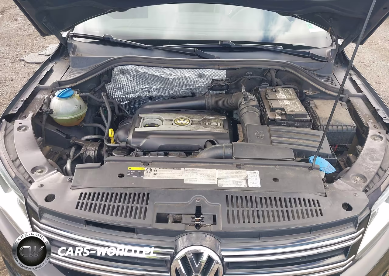 2016 Volkswagen Tiguan S VIN:WVGBV7AX1GW593692 - 10