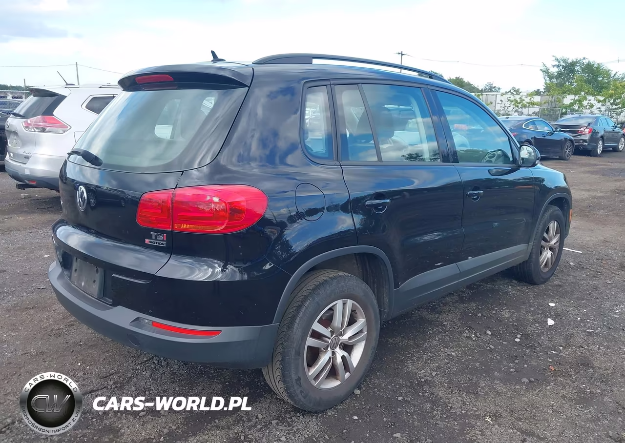 2016 Volkswagen Tiguan S VIN:WVGBV7AX1GW593692 - 12