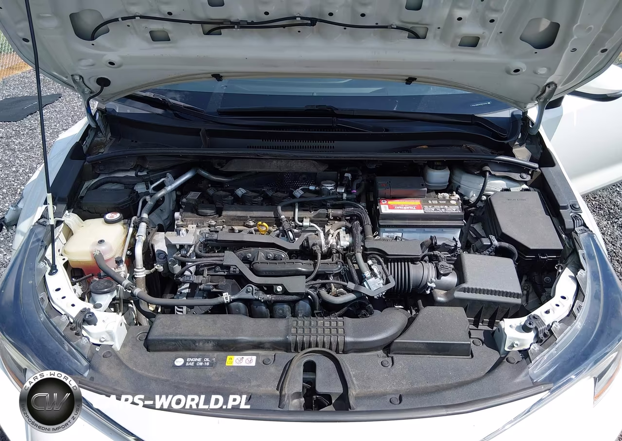 2019 Toyota Corolla Se VIN:JTNK4RBE3K3007032 - 10