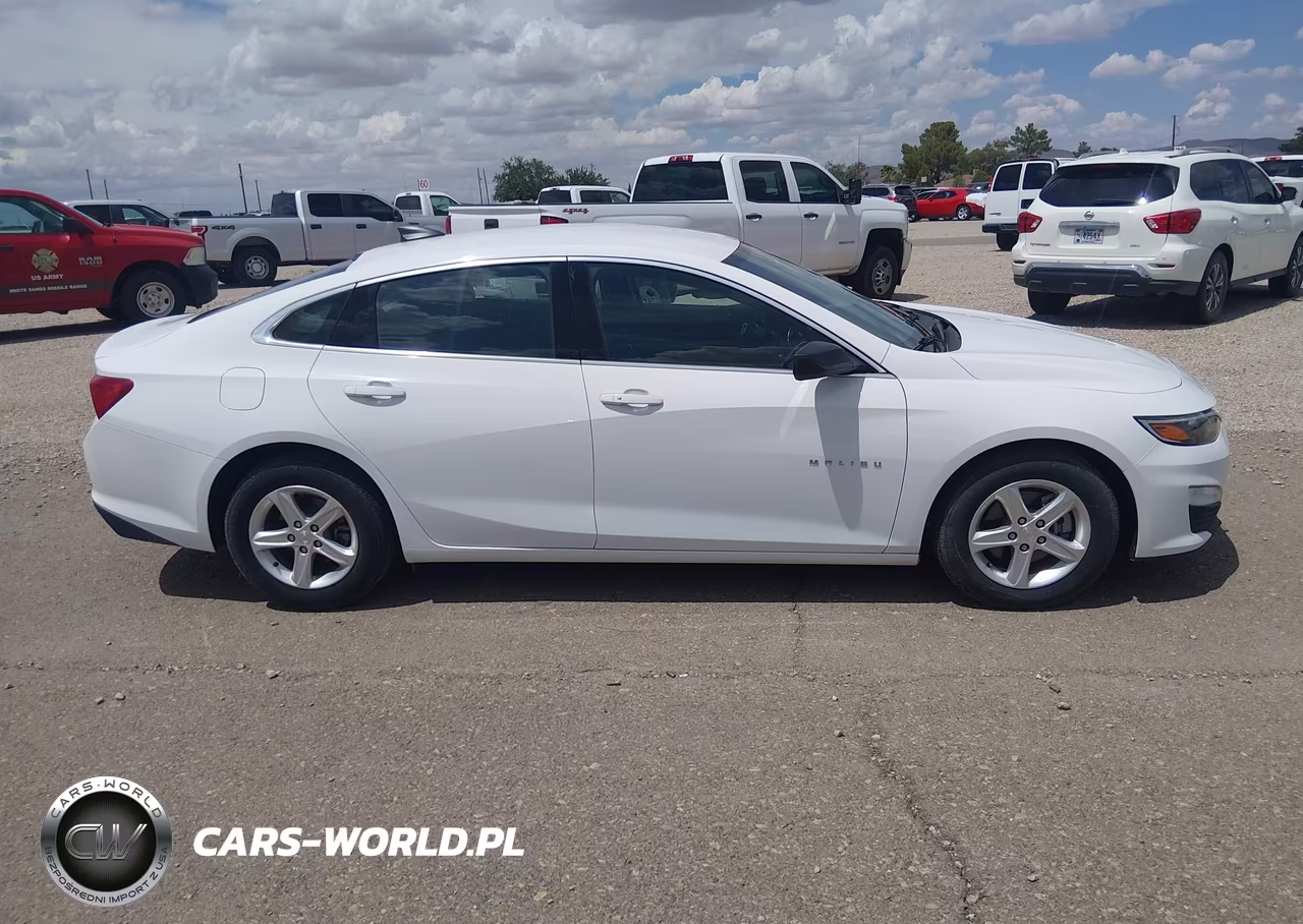 2020 Chevrolet Malibu Fwd 1Fl VIN:1G1ZC5ST5LF139148 - 13