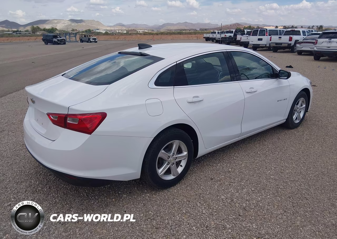 2020 Chevrolet Malibu Fwd 1Fl VIN:1G1ZC5ST5LF139148 - 4