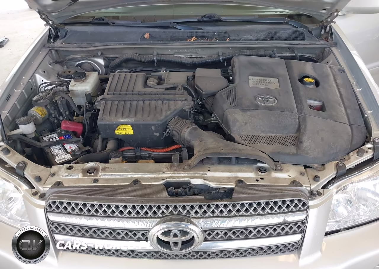 2007 Toyota Highlander Hybrid V6 VIN:JTEEW21A570037882 - 10