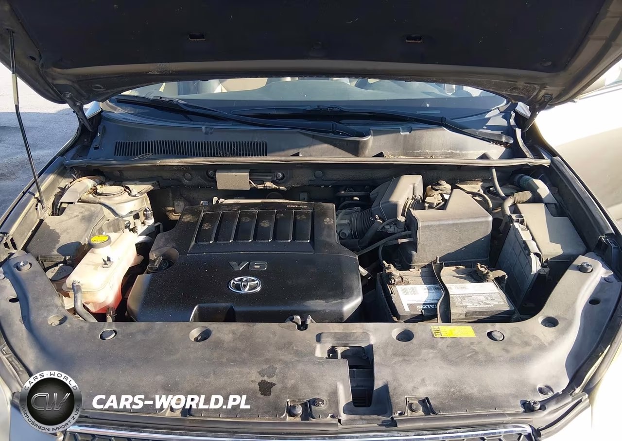 2009 Toyota Rav4 Limited V6 VIN:JTMZK31V69D002516 - 10