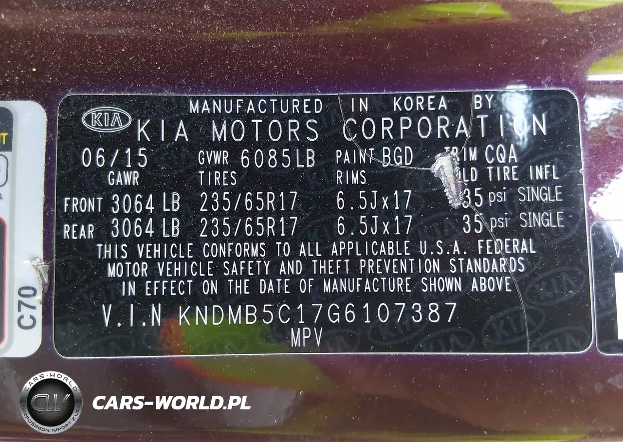 2016 Kia Sedona Lx VIN:KNDMB5C17G6107387 - 9