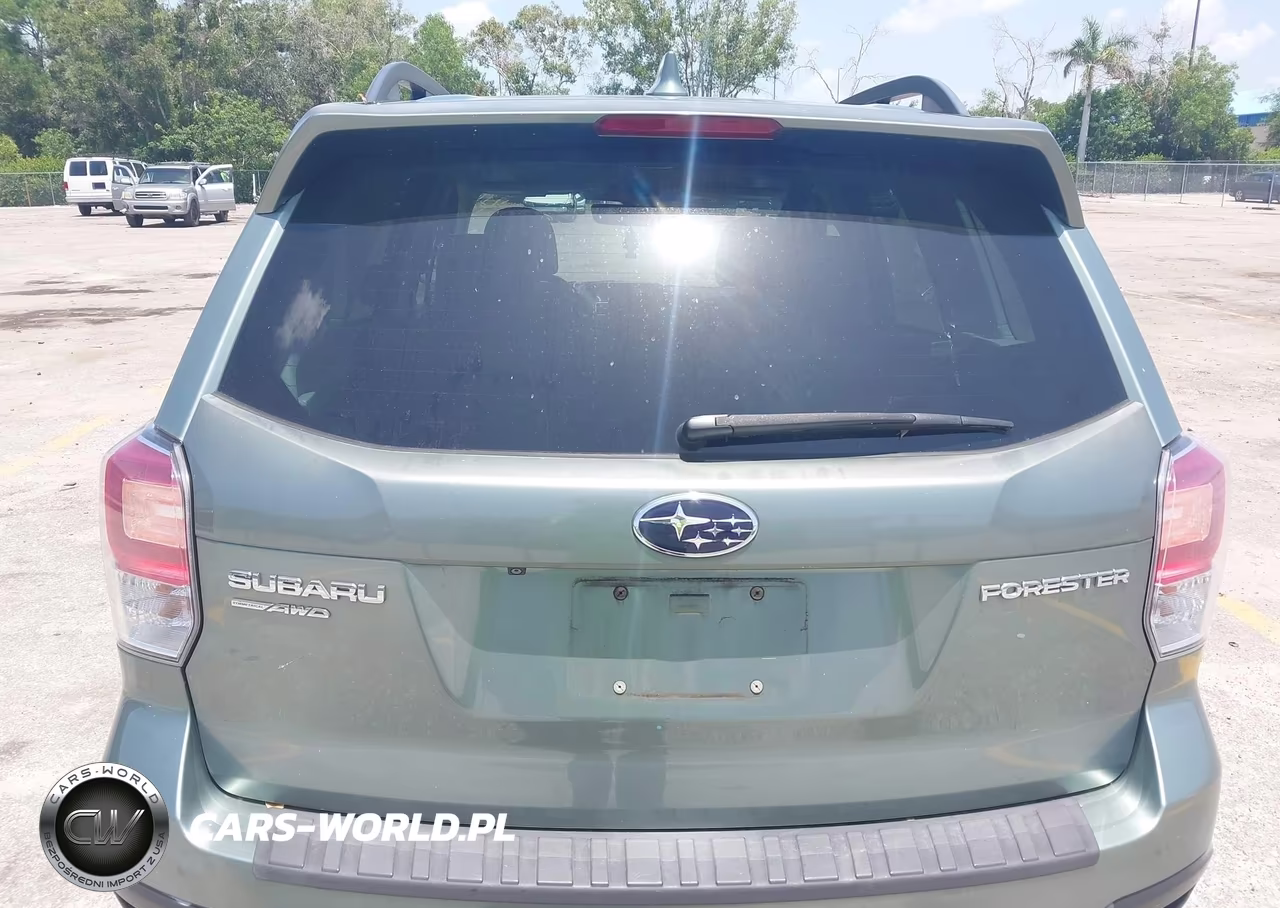 2018 Subaru Forester 2.5I Limited VIN:JF2SJAJC3JH590025 - 17